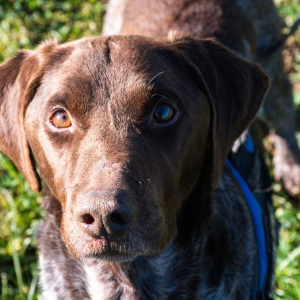 Les parrains et marraines