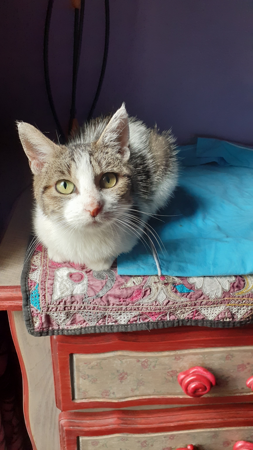 Lozen (en famille d’accueil)