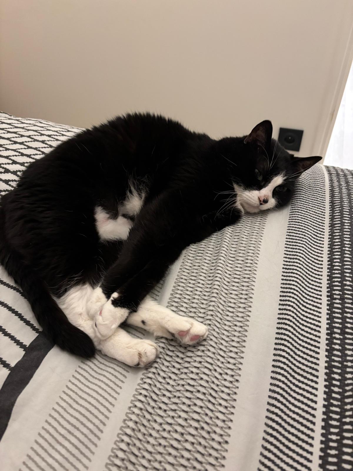 Agatha (visible En Famille D'accueil)