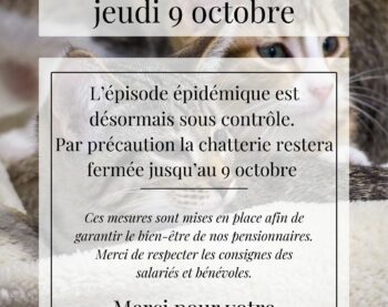 RÉOUVERTURE DE LA CHATTERIE
